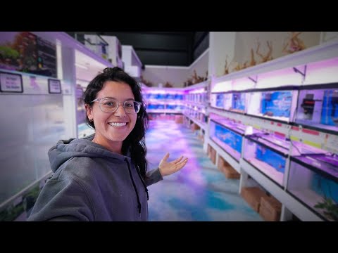 Видео: Этот новый магазин для любителей рыбной ловли меняет правила игры для местных любителей