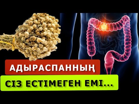 Видео: АДЫРАСПАННЫҢ СІЗ БІЛМЕЙТІН ЕМДІК ҚАСИЕТІ... АДЫРАСПАН  ШӨБІНІҢ ПАЙДАСЫ.