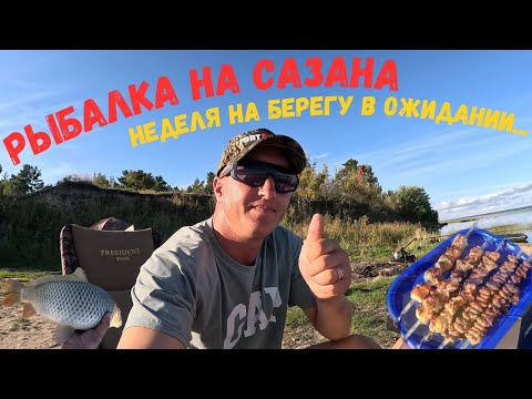 Видео: ОНИ КЛЕВАЛИ И СРАЗУ ТАЩИЛИ В КОРЯЖНИК. ЖИВЁМ НЕДЕЛЮ НА БЕРЕГУ И ЛОВИМ САЗАНА. РЫБАЛКА В ЗАВОЗ НА ОВХ