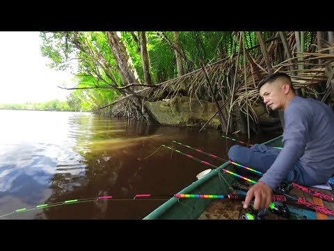 Видео: Слишком большой!  Крючок не сильный.  Ловля больших креветок в реке