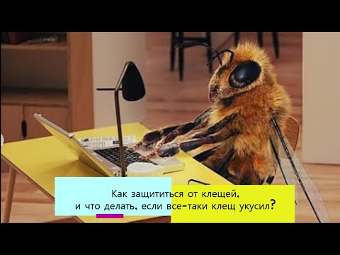 Видео: Как защититься от клещей, и что делать, если клещ укусил? #тенториум #витамины #апитерапия