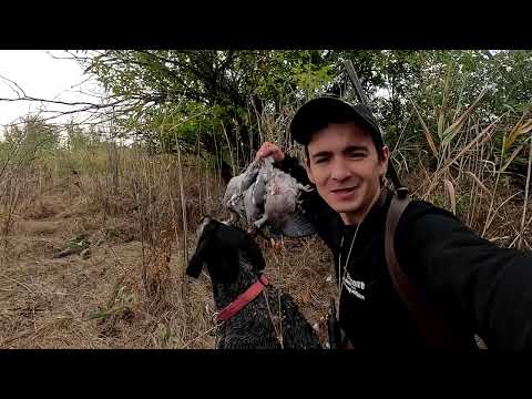 Видео: ОХОТА НА ВЯХИРЯ!ЛУЧШИЕ НАЛЕТЫ СЕНТЯБРЬ(2023)