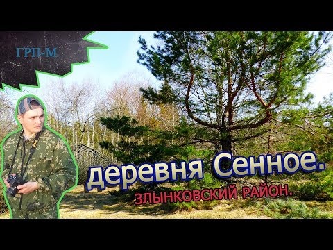 Видео: Деревня Сенное. Зона отчуждения. Злынковский район.