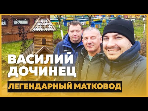 Видео: Василий Дочинец – 1300 маткомест, карпатка, технологии матководства