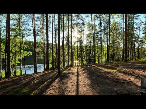 Видео: Озеро Орлица.