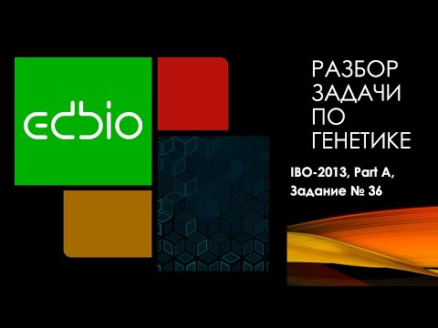 Видео: Разбор задачи по Генетике (из международной олимпиады по биологии, 2013 года)