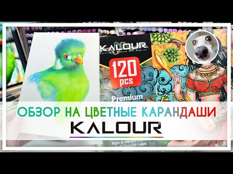 Видео: Обзор на китайские цветные карандаши KALOUR