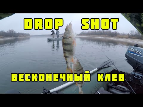 Видео: Дикий клев окуня на оснастку DROP-SHOT. Река Дон, февраль 2021 года.