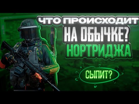 Видео: Обычный Нортридж жив?Проверим!В игре Arena Breakout Mobile.