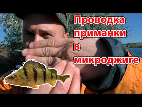 Видео: Ловля окуня на микроджиг Проводка приманки