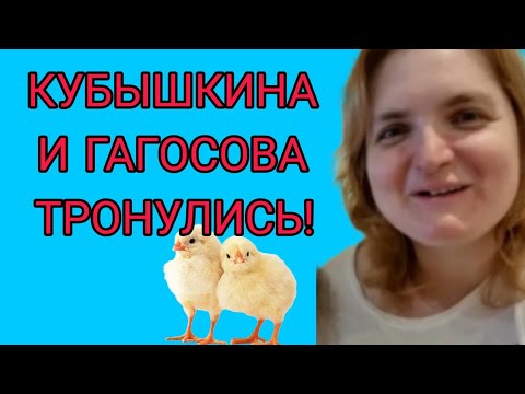 Видео: ЭТО УЖАС. КУБЫШКИНА ТЫ ЧЕКНУЛАСЬ? VREDINA LIFE. ОБЗОР.