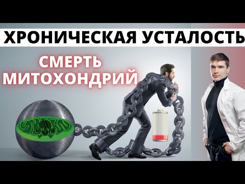 Видео: Хроническая усталость, Митохондрии, качество жизни. Не хватает энергии чтобы мыслить и тренироваться