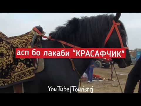 Видео: Бузкаши дар ш.Кулоб|21.02.2021