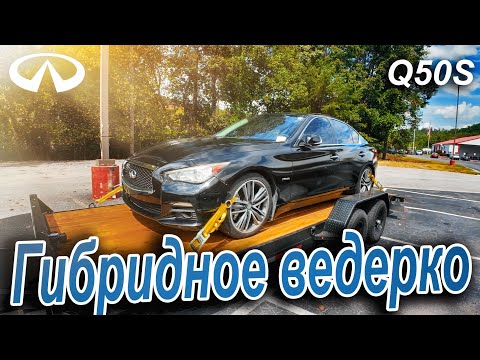 Видео: Купил гибридного финика