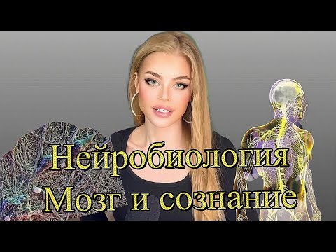 Видео: Сознание и мозг 