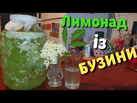 Видео: Бузиновий ЛИМОНАД.