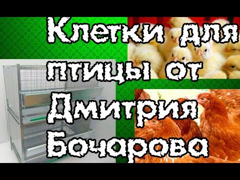 Видео: Какие клетки выбрать? Содержание домашней птицы. Куры, бройлеры, перепела.