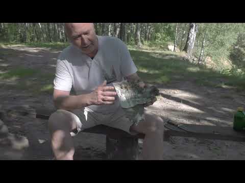 Видео: Рукоять ножа из бересты: правда ли это лучший материал? Секреты ухода внутри!