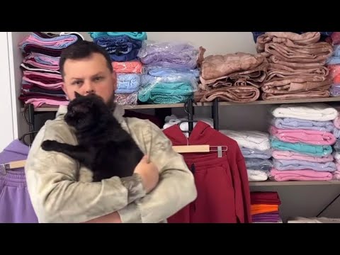 Видео: ХУДИ НА СОБАЧКУ МОЖНО НАДЕТЬ.ТИКТОК КОЛЯ ПРОДАЁТ. 