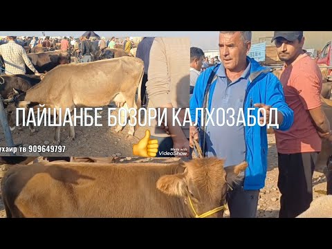 Видео: ПАЙШАНБЕ БОЗОРИ КАЛХОЗАБОД 👍 
