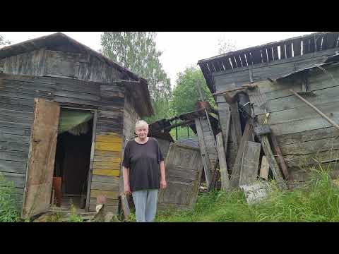 Видео: Обвиняю "КИНО", и это не шутка.