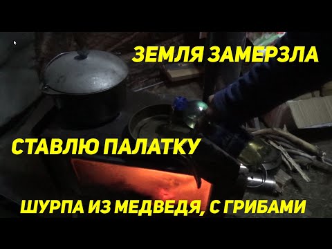 Видео: ЗЕМЛЯ ЗАМЕРЗЛА, ПАЛАТКУ СТАВЛЮ. ШУРПА из МЕДВЕДЯ. Соседи замерзли, не спят.