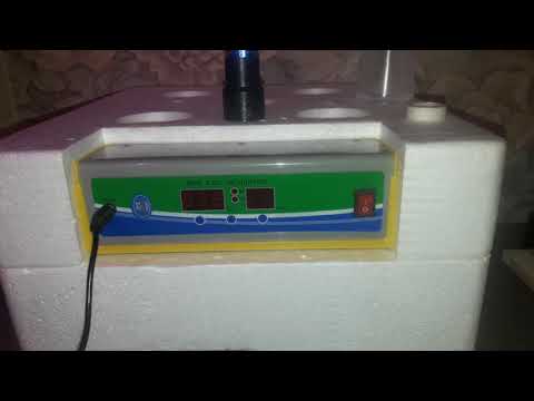 Видео: инкубатор wq 24