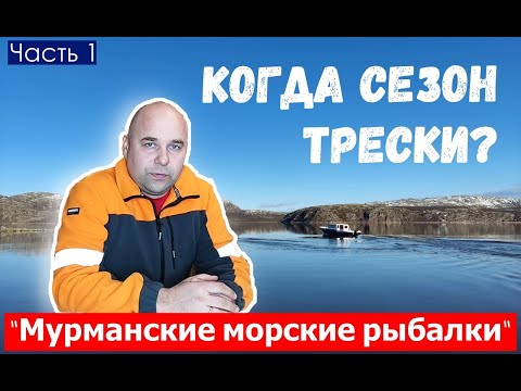 Видео: Когда сезон трески? Ответ на вопрос подписчика. Мурманские морские рыбалки. Рыбалка на треску.