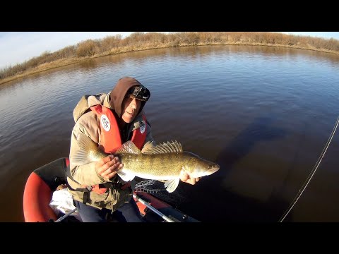 Видео: финальное судачество