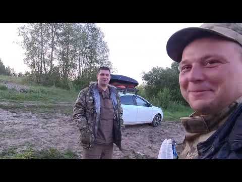 Видео: рыбалка на нарезку и перемёт