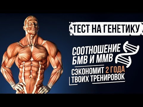 Видео: Соотношение быстрых и медленных мышечных волокон (Предрасположенность к Спорту, Генетика)