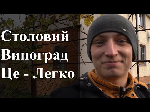 Видео: Обрізка, формування і укриття столового винограду по-простому! Кущ одно, двох і трьохрічний.