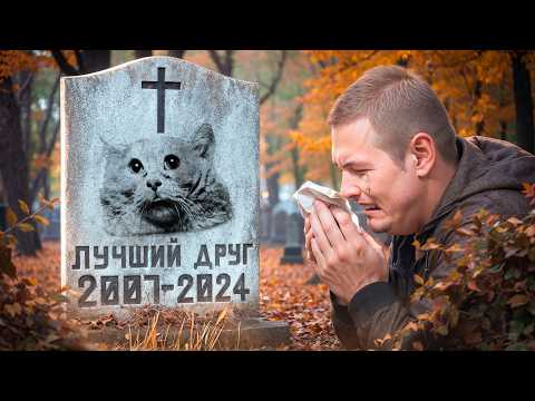 Видео: Это видео ЗАСТАВИТ тебя ПЛАКАТЬ, УДИВИТЬСЯ и ПРЕИСПОЛЬНИТЬСЯ!