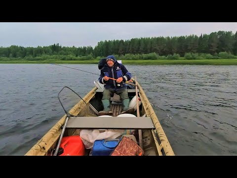 Видео: ДЕНЬ РЫБАКА 2023 \ С ГРИГОРИЧЕМ НА ПЕЧОРЕ \ Часть 3 \ НОЧНАЯ РЫБАЛКА \ ЛЕТО НА СЕВЕРЕ