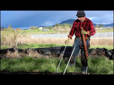 Видео: Как построить гусеничный низкий туннель. Часть 1