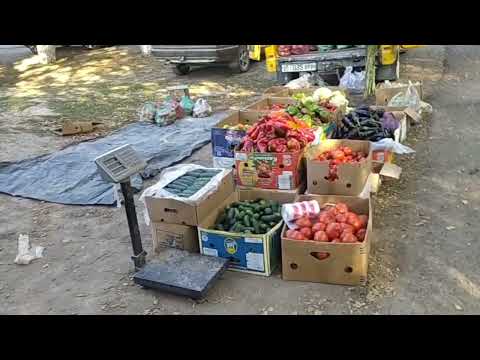 Видео: ЕЗДИЛИ НА ПОЛЕ ЗА ПЕРЦЕМ👍👍 БАЗАРЧИК И ЦЕНЫ🍊🍅🍎🍓🥕🧅😇🙏🌞🇰🇬🙋