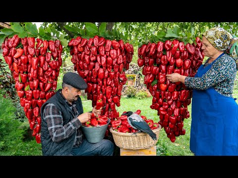 Видео: Приготовление пасты из болгарского перца в домашних условиях 🌶