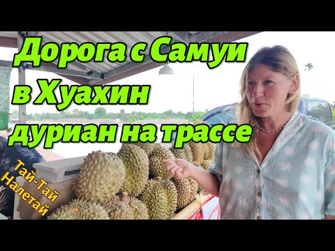 Видео: Дорога с Самуи до Хуахина, дуриан на трассе