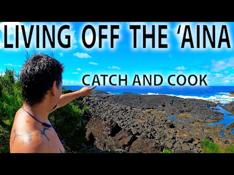 Видео: Специальный доступ в Kings Landing — только для гавайцев