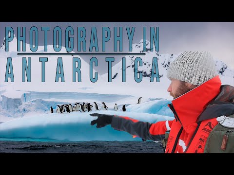 Видео: Моя фотоэкспедиция в Антарктиду