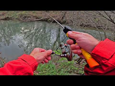 Видео: Гиганты ГНУТ удилище в ДАЧНОМ ОМУТЕ! #fishing #рыбалка #рыбалканаспиннинг #рыбалканаплотву