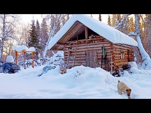 Видео: НОЧУЕМ С КОТОМ И ЩЕНКОМ В ИЗБУШКЕ В -30 / УЕХАЛ НА НОВЫЙ ГОД В ТАЙГУ / ОБЫЧНЫЙ ДЕНЬ В ЗИМОВЬЕ.