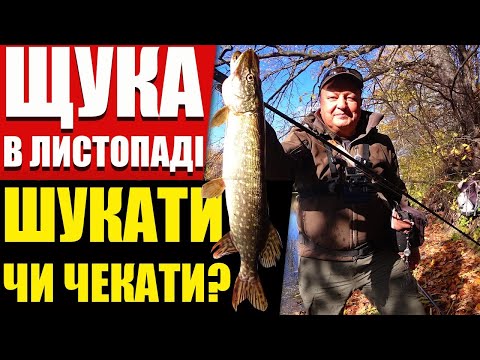 Видео: Як клює щука восени? Найкраща тактика - шукати чи чекати?