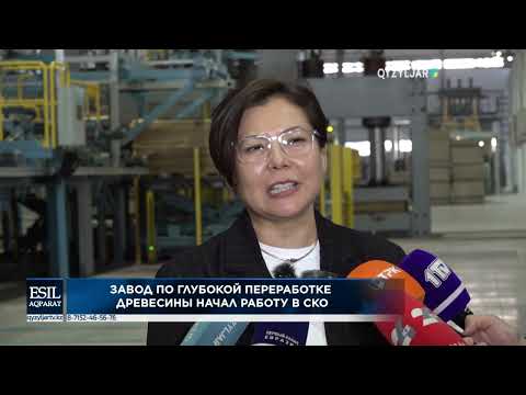 Видео: Завод по глубокой переработки древесины начал работу в СКО