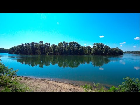 Видео: Ловля карася на реке Днестр (Молдова) I Pescuit la Nistru