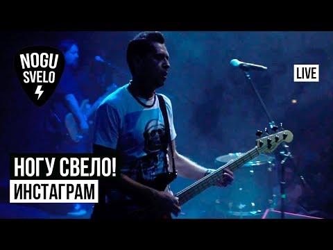 Видео: Ногу Свело! - Инстаграм (Live)