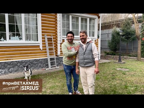 Видео: Алексей Романоф и его бордер-колли // #приВЕТАХМЕД