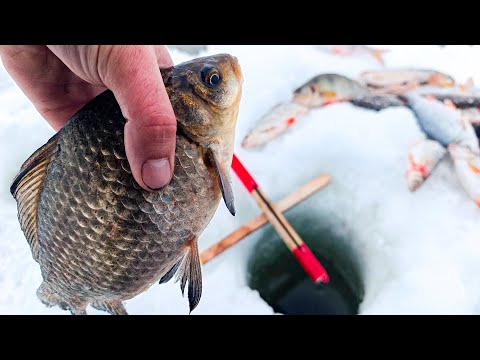 Видео: На САМОДЕЛЬНУЮ СНАСТЬ клюют КАРАСИ и ПЛОТВА!! Рыбалка НА КРЕСТ!! Снасть, эффективнее УДОЧКИ?!