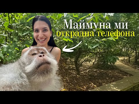 Видео: МАЙМУНА МИ ОТКРАДНА ТЕЛЕФОНА