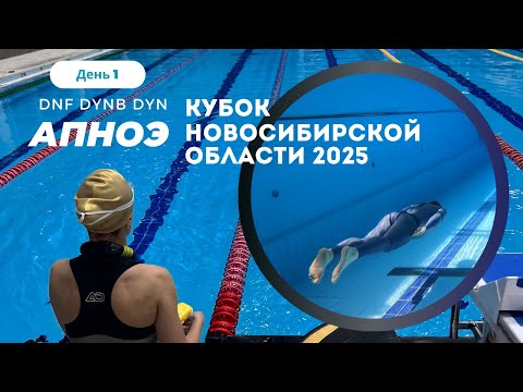 Видео: Соревнования по фридайвингу - Кубок Новосибирской области 2025 апноэ | день 1 | DNF DYN DYNB